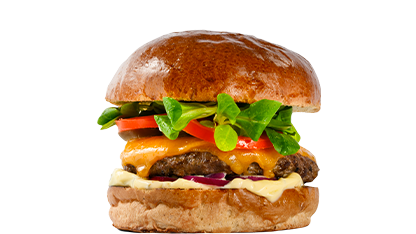 MEXICAN BURGR