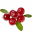brusinky